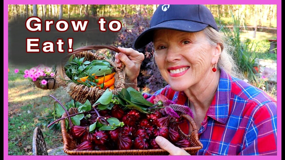 Kaye Kittrell: Afternoon HARVEST and homegrown STIR-FRY | Late October Afternoon HARVEST and homegrown STIR-FRY | Late October