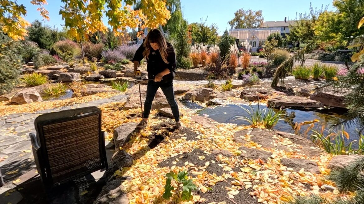 Garden Answer: Planting 300 Summer Snowflake Bulbs & Professional Tree Maintenance! 🌿🙌🌳 // Garden Answer Planting 300 Summer Snowflake Bulbs & Professional Tree Maintenance! 🌿🙌🌳 // Garden Answer