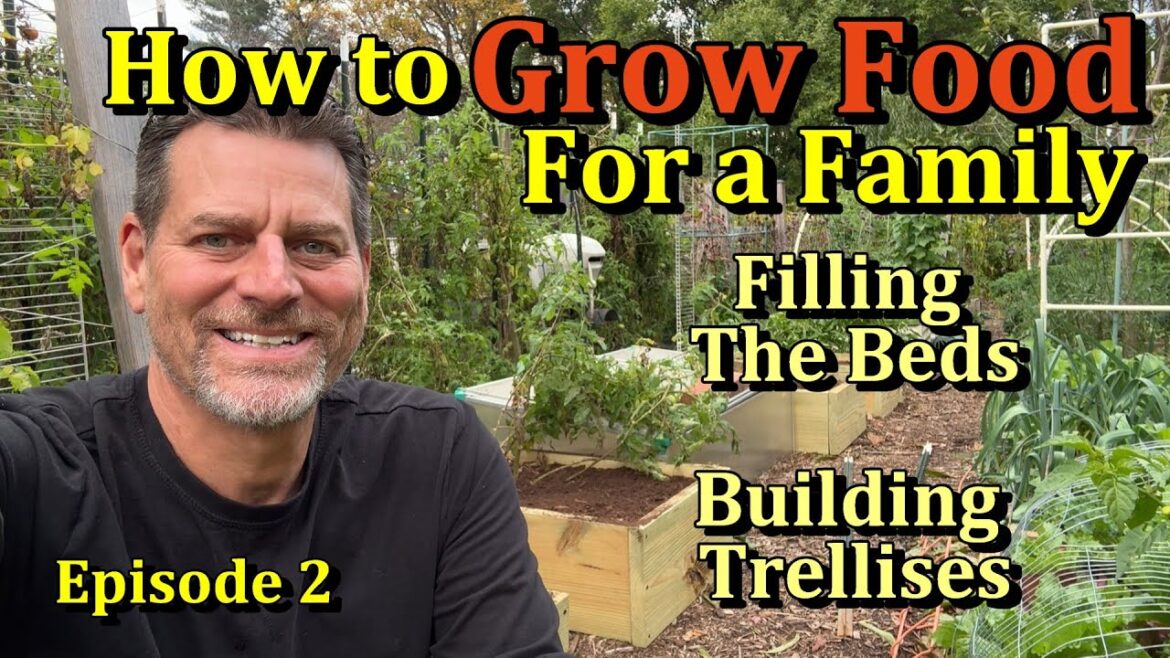 Gary Pilarchik: How to Grow Vegetables in Raised Beds for a Family (2-4) – Filling the Beds & Growing Vertically E2 How to Grow Vegetables in Raised Beds for a Family (2-4) - Filling the Beds & Growing Vertically E2