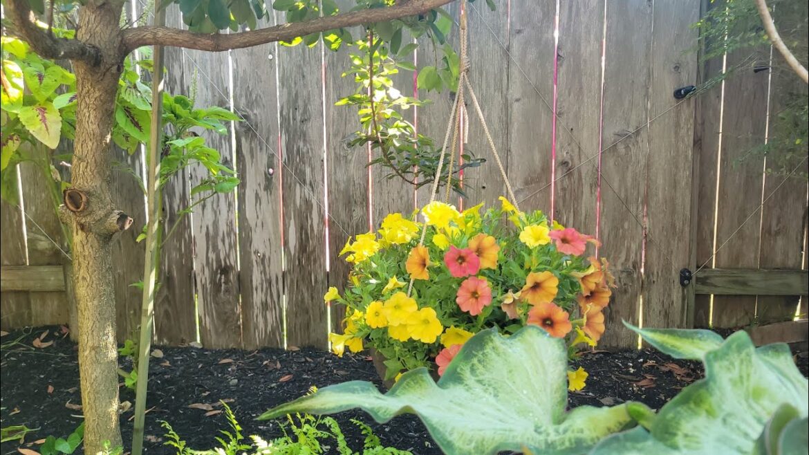 Fall Garden Series| Oscar's Backyard Oasis. A backyard garden filled with exotic plants.