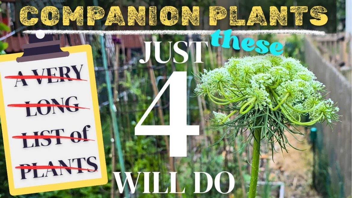 Best companion plants for vegetable garden