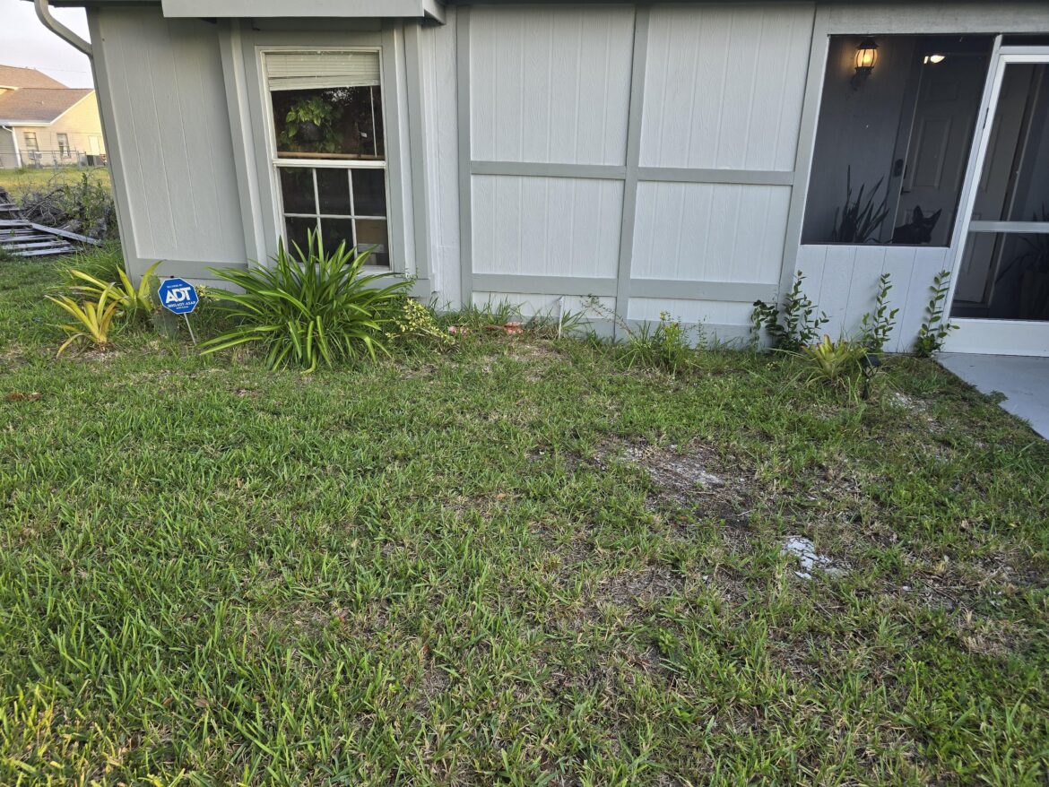 Thoughts on vegetable garden on front of the house? Thoughts on vegetable garden on front of the house?