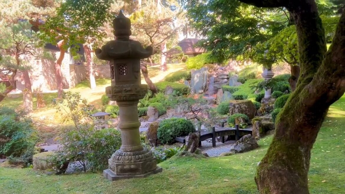 Old Japanese Garden In The UK
