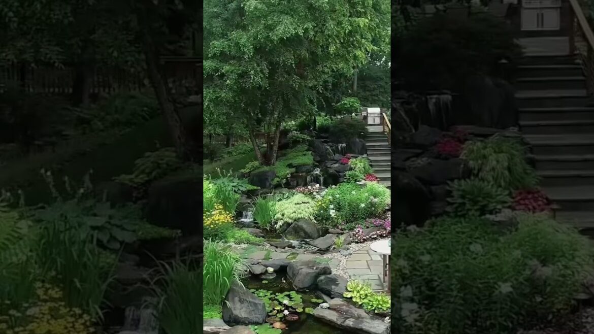 BEAUTIFUL Backyard! #shorts