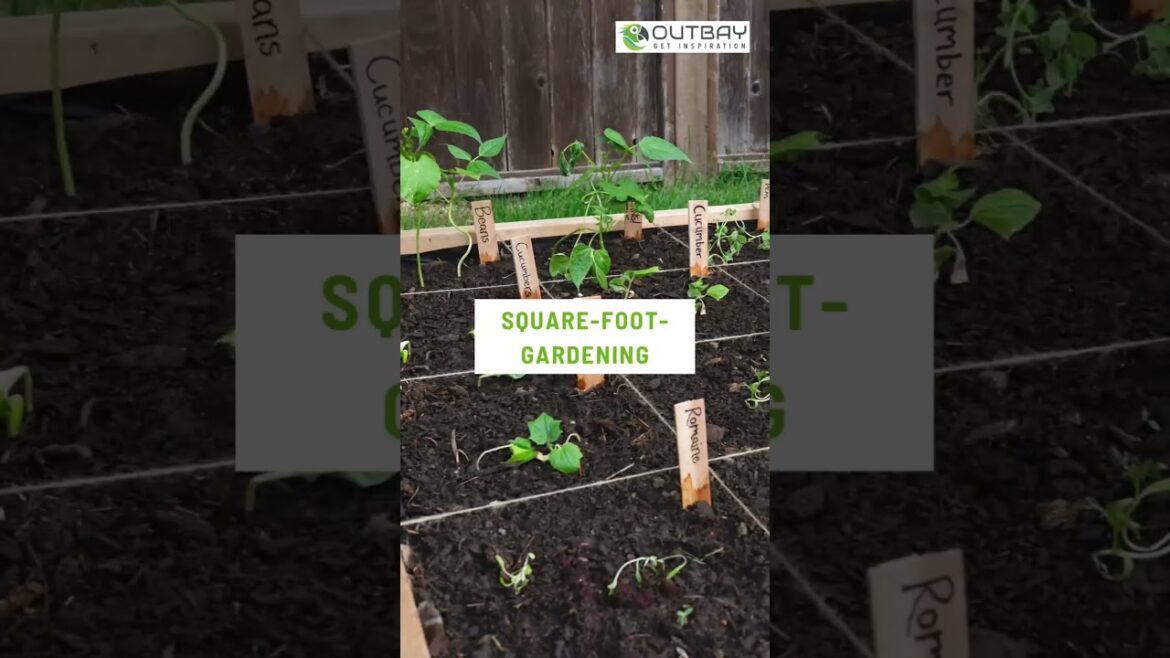 🌱 Tiny Gardening Trend 2025 – Gärtnern auf kleinster Fläche! | Outbay