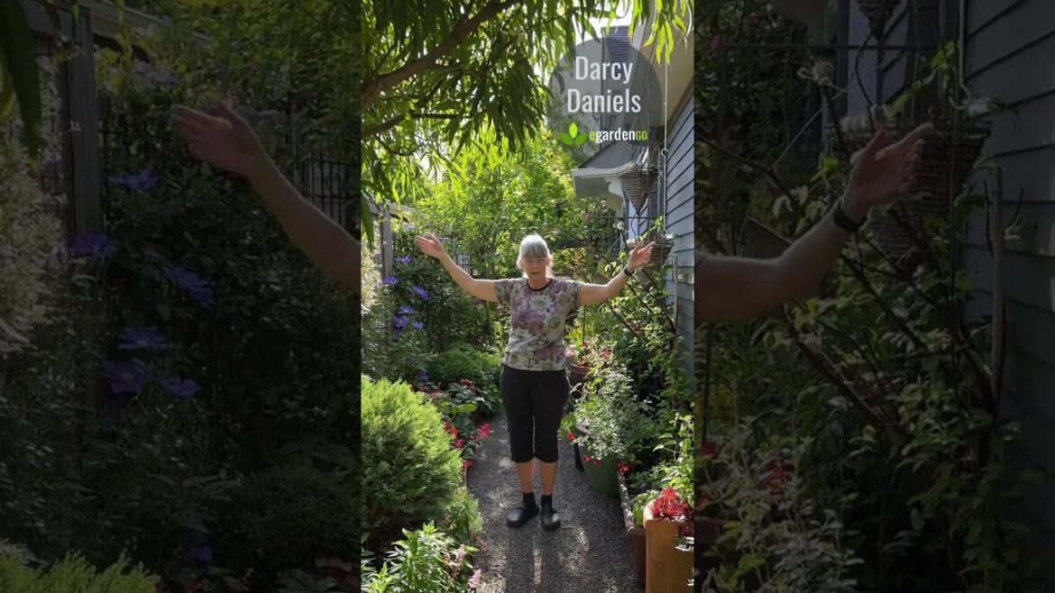 Small Garden, Big Impact: Narrow Garden Design Tips Small Garden, Big Impact: Narrow Garden Design Tips