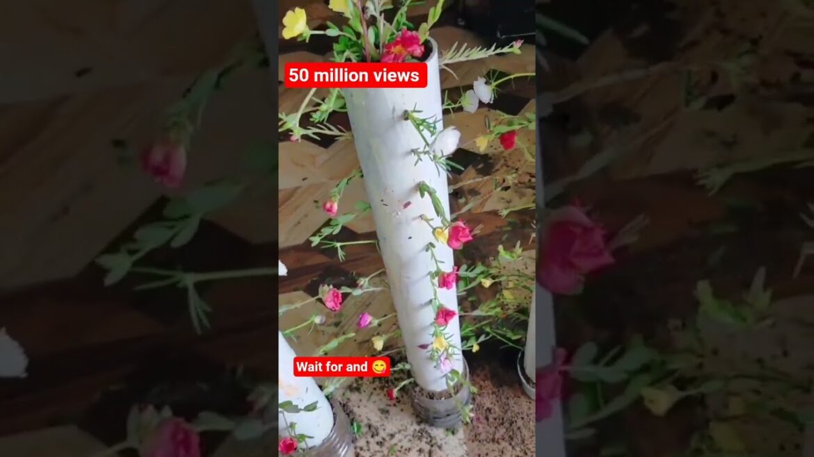 The Hunger Games TikTok Trends Are Disturbingly Popular #shorts The Hunger Games TikTok Trends Are Disturbingly Popular #shorts