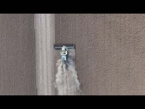 Henry County farmers battle fires, high input costs, and few soybean markets Henry County farmers battle fires, high input costs, and few soybean markets