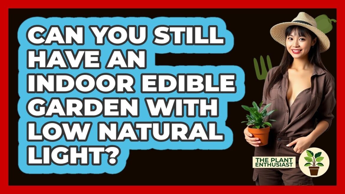 Can You Still Have An Indoor Edible Garden With Low Natural Light? - The Plant Enthusiast