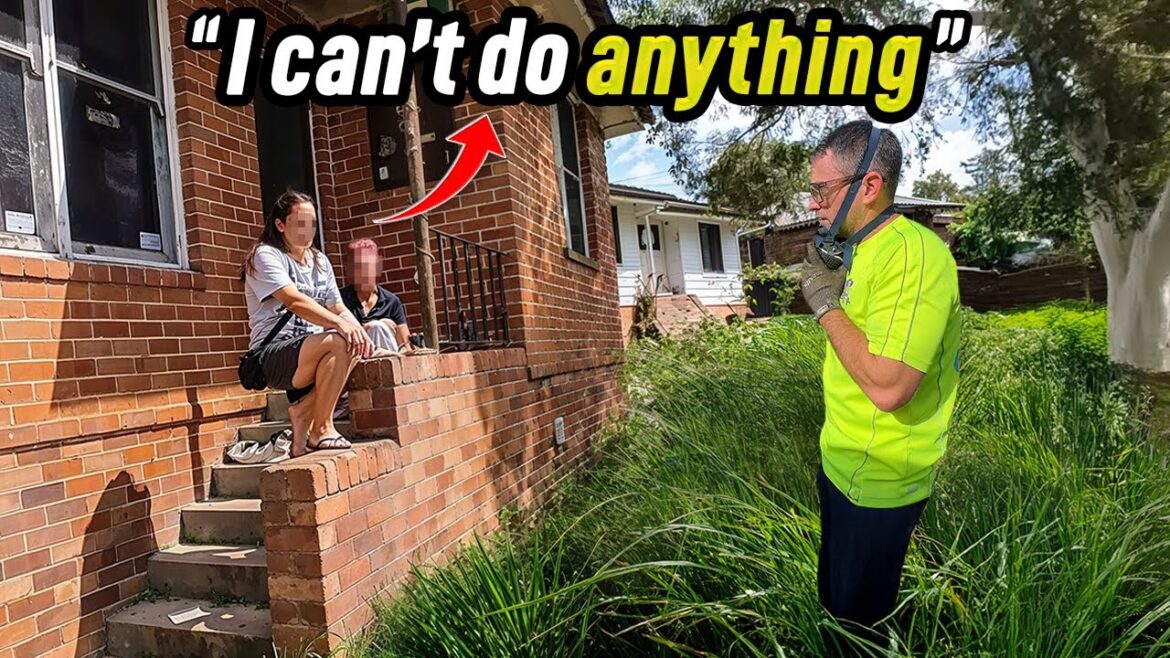 I Stopped for a Stranger in need, then Transformed Her Wild Block! I Stopped for a Stranger in need, then Transformed Her Wild Block!