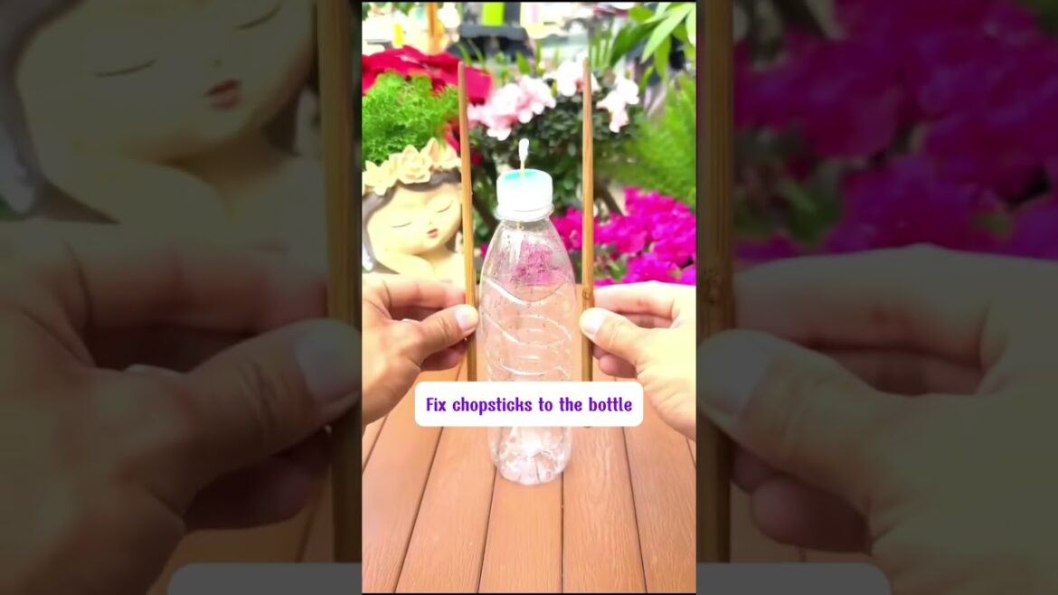 make your own automatic watering tool from plastic bottle #watering #plantcare #wateringtips #plant make your own automatic watering tool from plastic bottle #watering #plantcare #wateringtips #plant