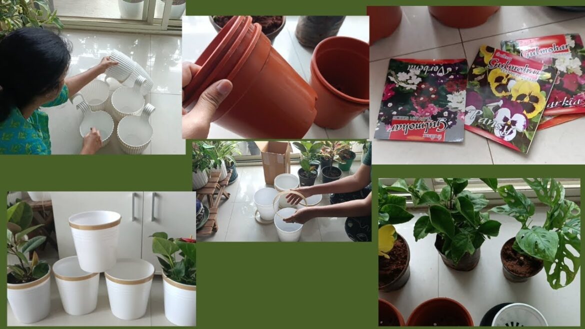 आज कीये gardening products की shopping मेंरे balcony garden के लिए/gardening products shopping आज कीये gardening products की shopping मेंरे balcony garden के लिए/gardening products shopping