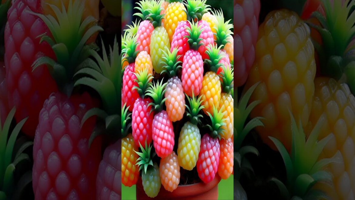 easy and fast techniques for planting and propagating pineapple trees #garden #fruits easy and fast techniques for planting and propagating pineapple trees #garden #fruits