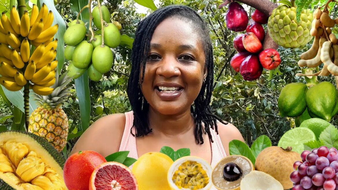 She Grows Over Thirty (30) EXOTIC FRUIT TREES In Her CONTAINER Garden She Grows Over Thirty (30) EXOTIC FRUIT TREES In Her CONTAINER Garden