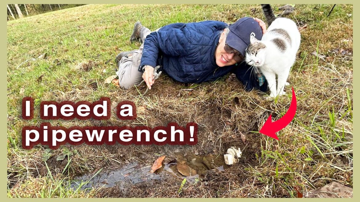 October Garden Tour | Cistern Release, Last Melon Harvest, Peppers, Flowers!