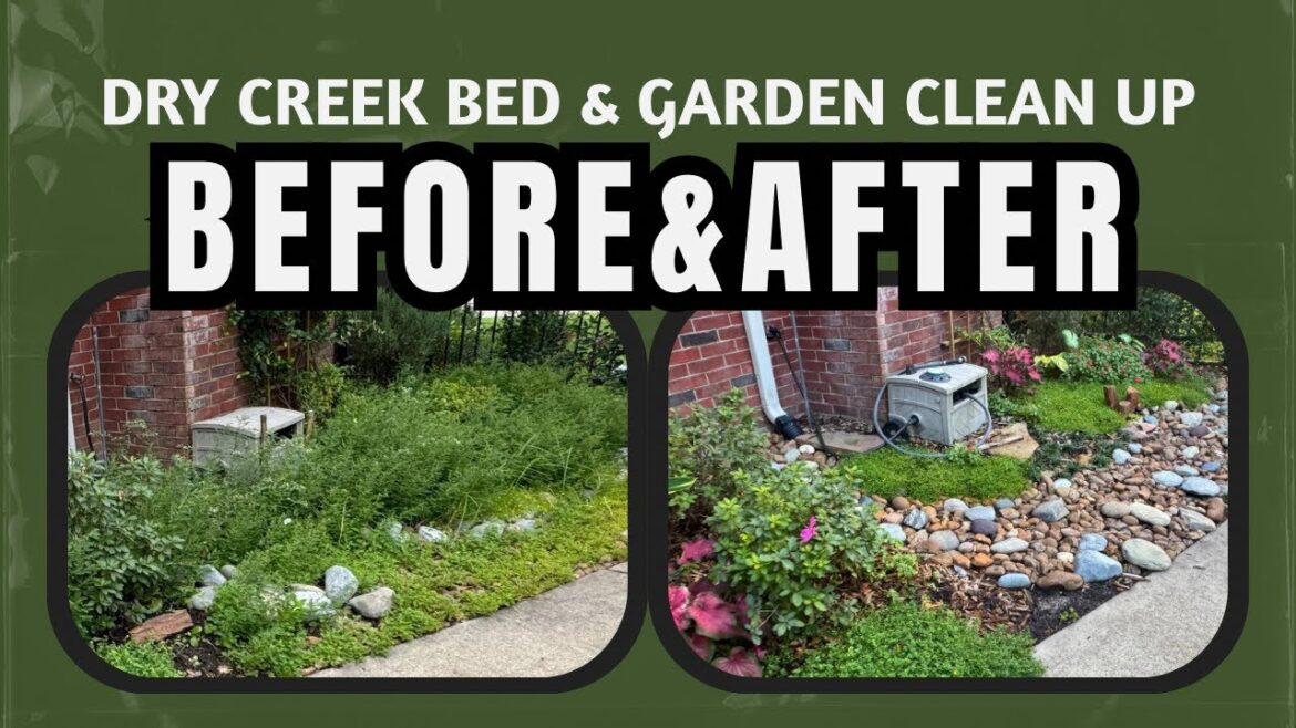 Garden Bed Clean Up #garden #gardeningtips