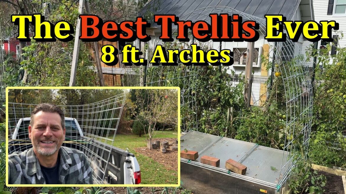 Gary Pilarchik: The Simplest and Best Vegetable Garden Trellis for Growing Vertically (Making an 8 ft Arch Trellis) The Simplest and Best Vegetable Garden Trellis for Growing Vertically (Making an 8 ft Arch Trellis)