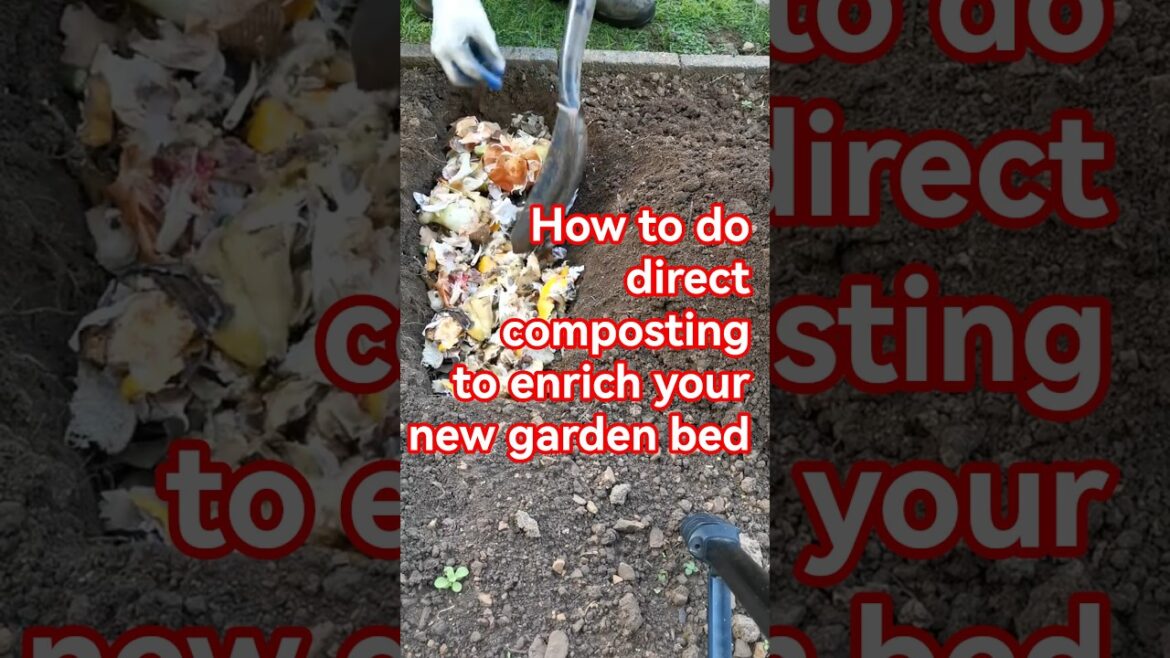 Garden tips 42 - How to do direct composting on new garden bed #gardening #gardeningtips