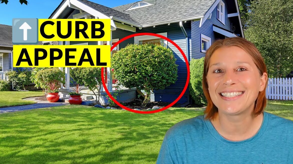 7 Design Tips for a Stylish Front Yard That Turns Heads