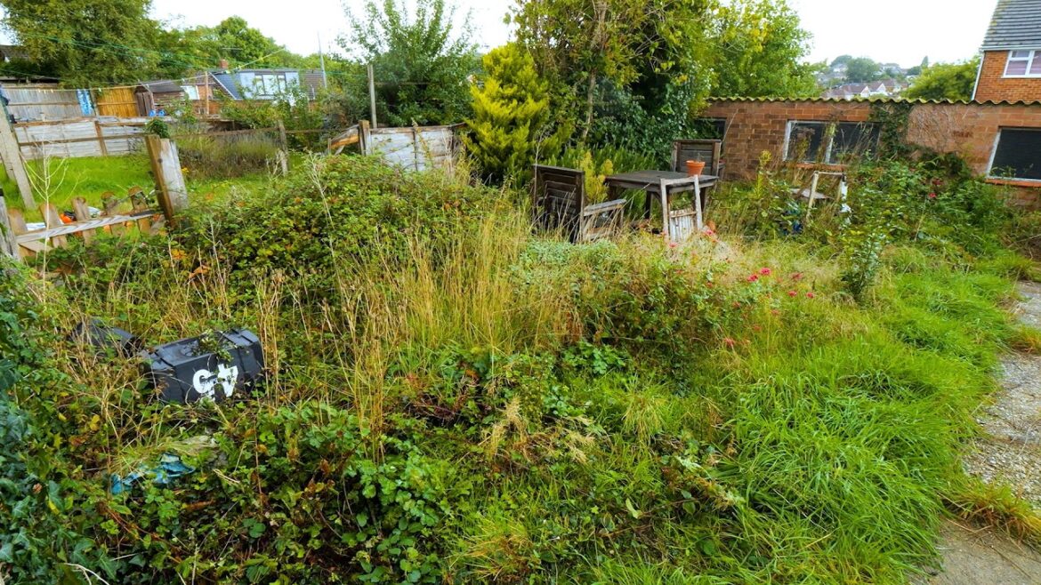 Transforming an OVERGROWN Garden Into a Safe Space Transforming an OVERGROWN Garden Into a Safe Space