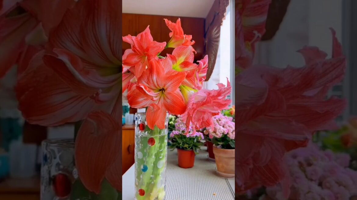 Garden Vibes You'll Absolutely Love 😍🌱#gardening #gardenplants #asmr #flowers #oasis #homedecor