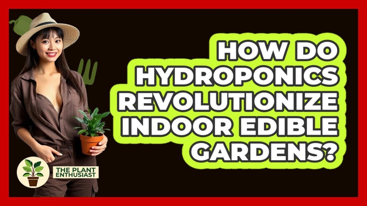 How Do Hydroponics Revolutionize Indoor Edible Gardens? – The Plant Enthusiast How Do Hydroponics Revolutionize Indoor Edible Gardens? - The Plant Enthusiast