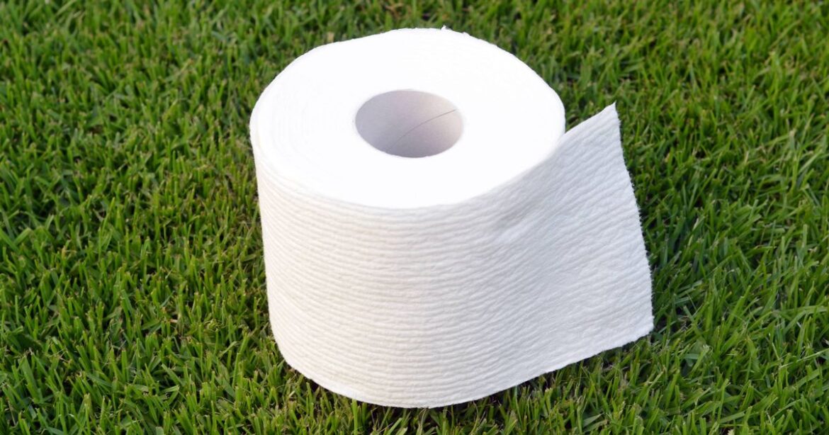 UK households told to put cardboard loo rolls in gardens in October Daily Mirror