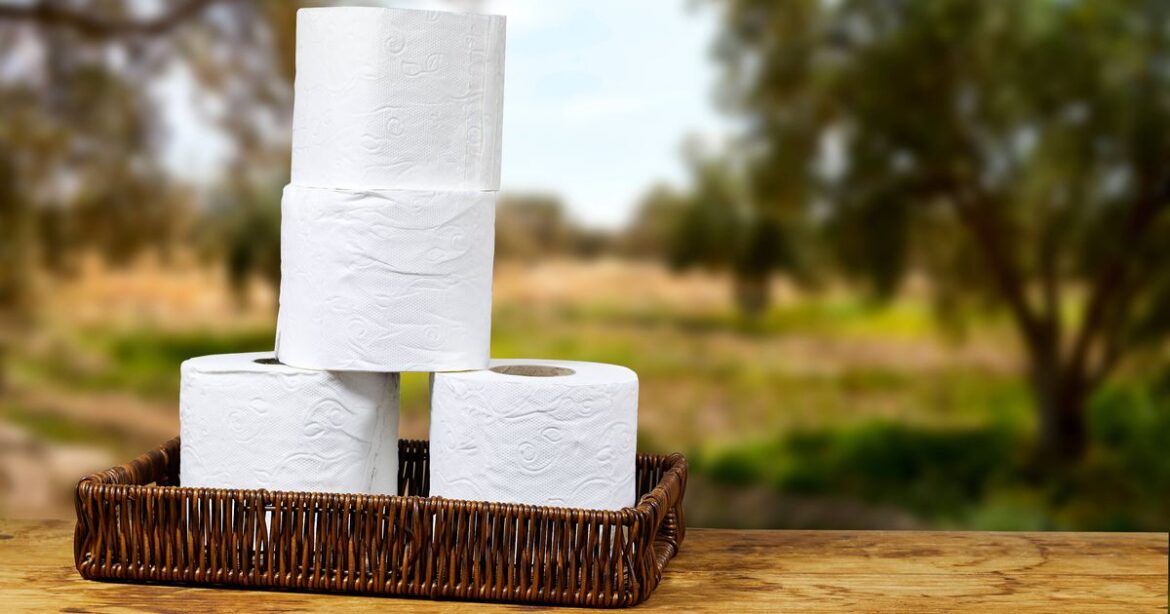 Don’t throw away cardboard loo rolls as they’re needed in your garden Devon Live