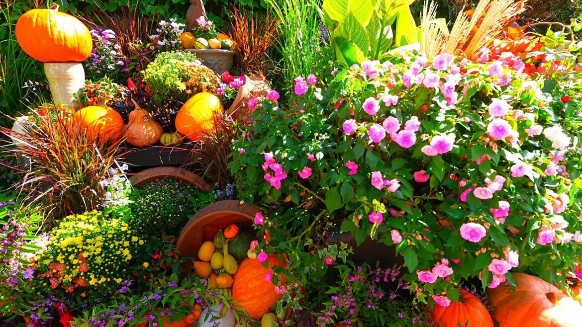 Barakura English Garden Harvest Festival, Container Gardening Exhibition! Barakura English Garden Harvest Festival, Container Gardening Exhibition!