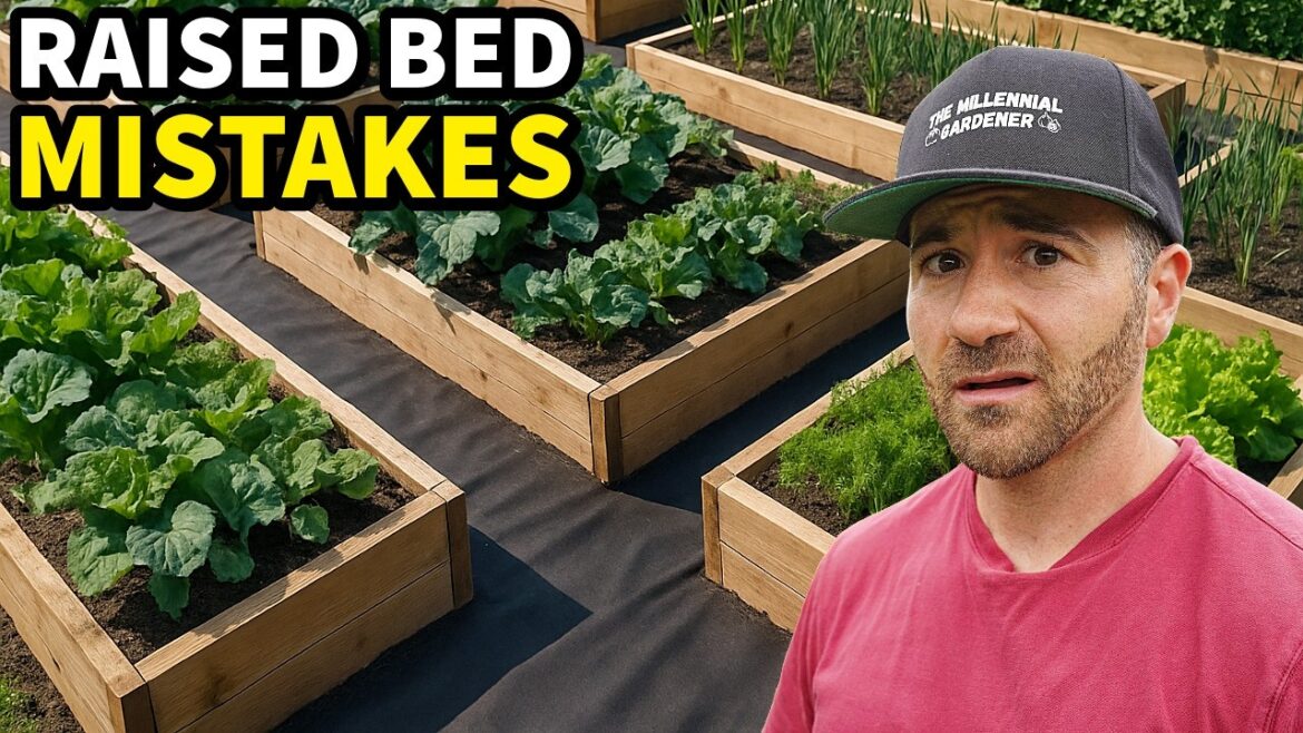 Garden Catastrophe! DO NOT Make These 3 Raised Bed Mistakes Garden Catastrophe! DO NOT Make These 3 Raised Bed Mistakes