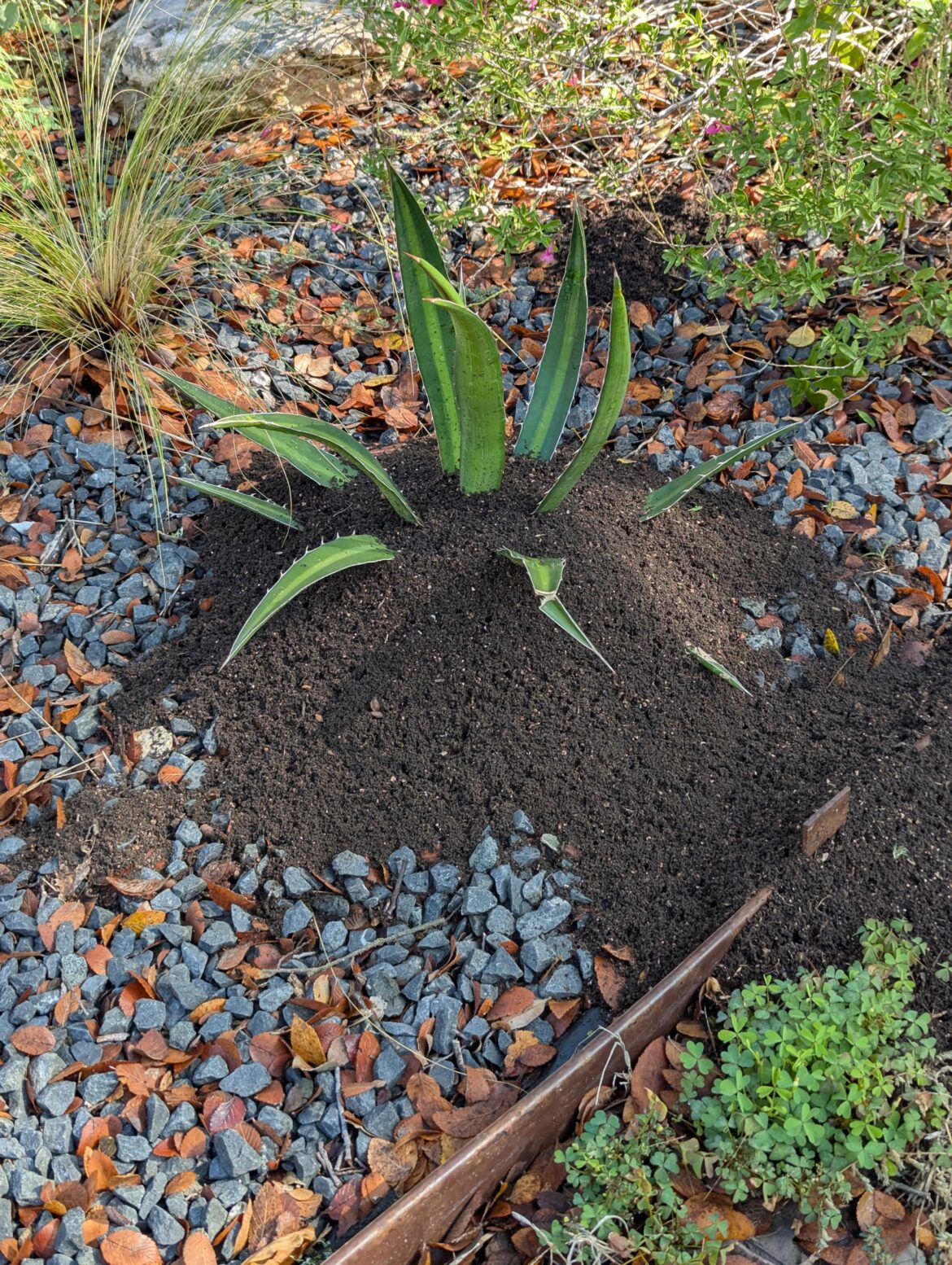 This thing got covered all of a sudden. What to do?