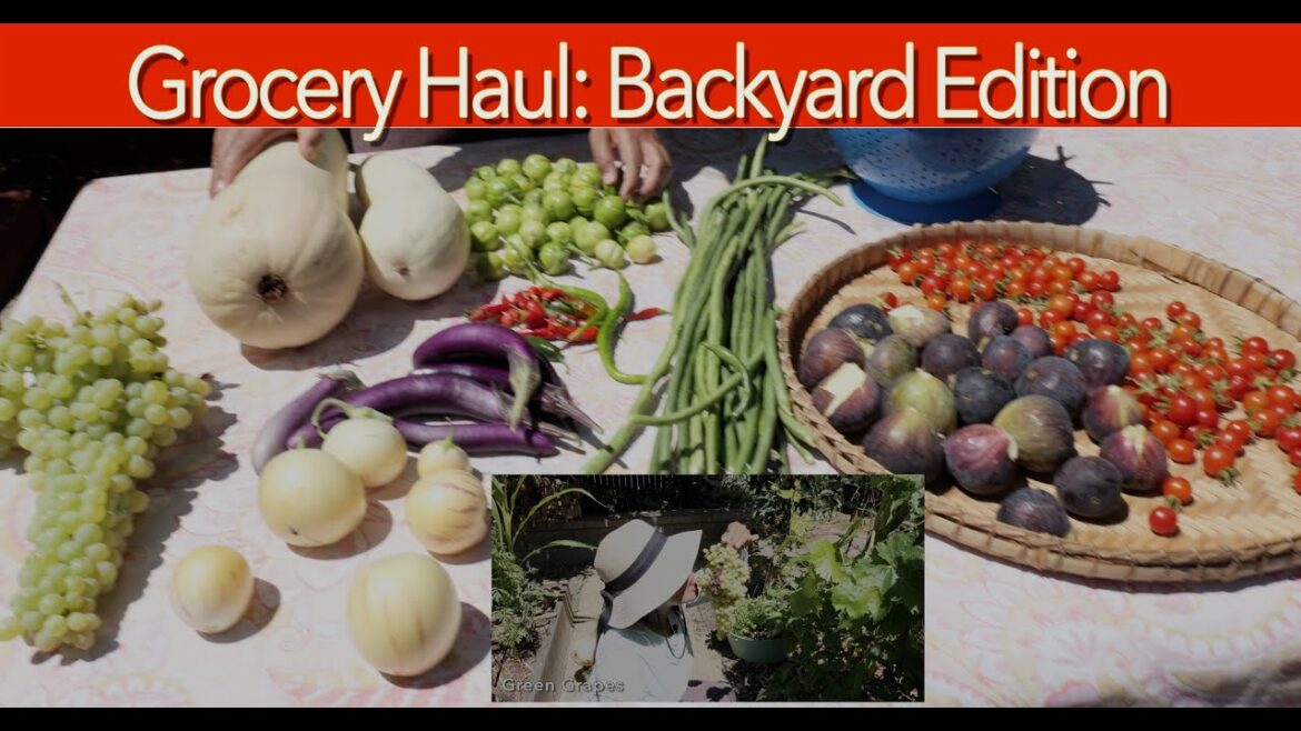 Come Produce Shopping with us in our Backyard Garden Come Produce Shopping with us in our Backyard Garden