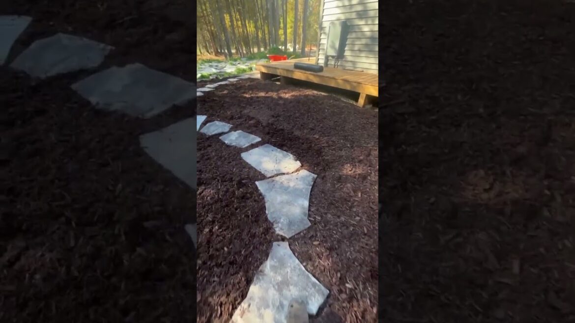 Transform Your Outdoors | Landscaping & Garden Design by And-Rod Landscaping