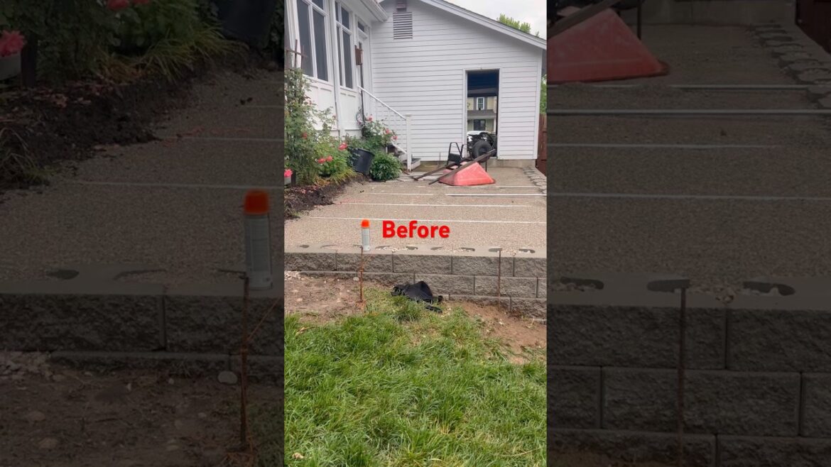 Landscaping #backyard