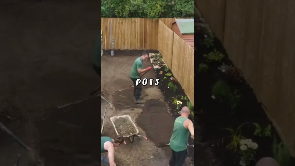 New Build Garden #gardening #gardenobsessed #gardendesign #diygardenprojects #gardeninginspiration New Build Garden #gardening #gardenobsessed #gardendesign #diygardenprojects #gardeninginspiration