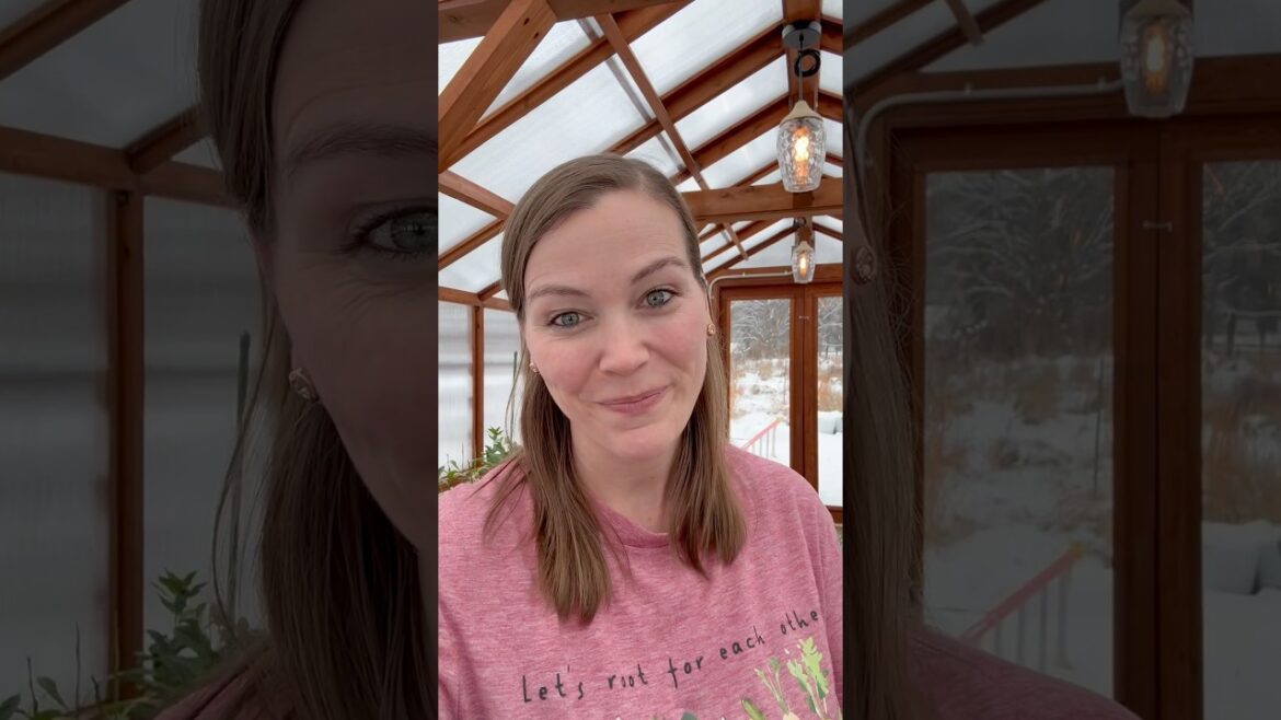 Start a Garden this year! #gardening #garden #gardeningtips #growyourownfood #gardentips #harvest