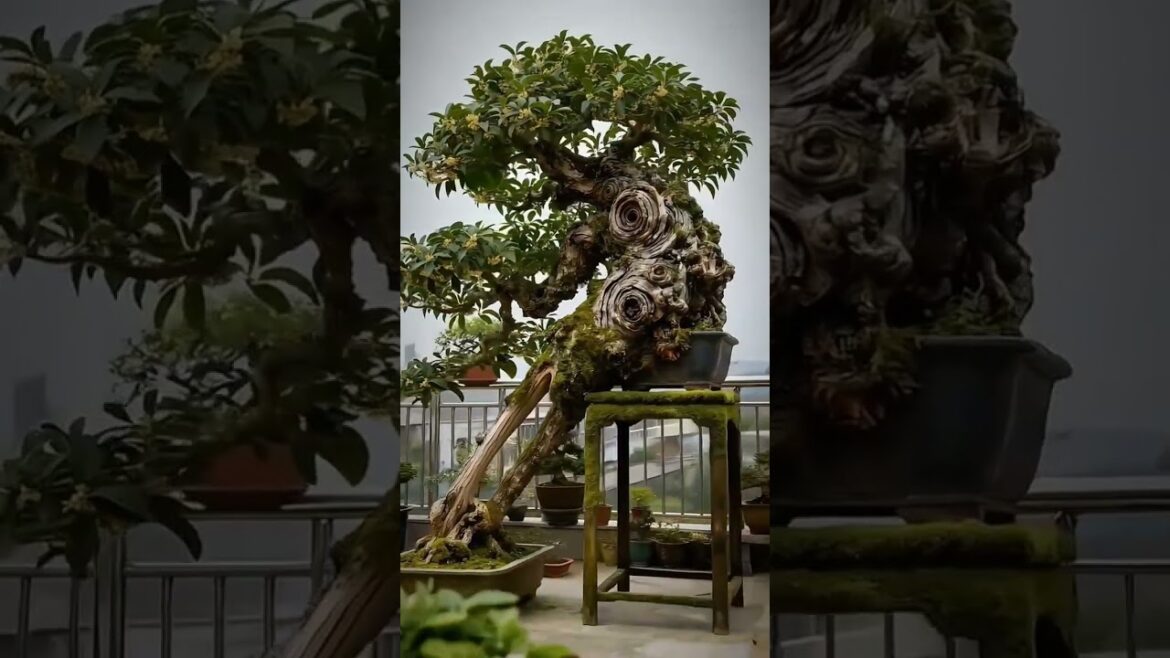 The transport of substances and the supply of nutrients are provided through two containers