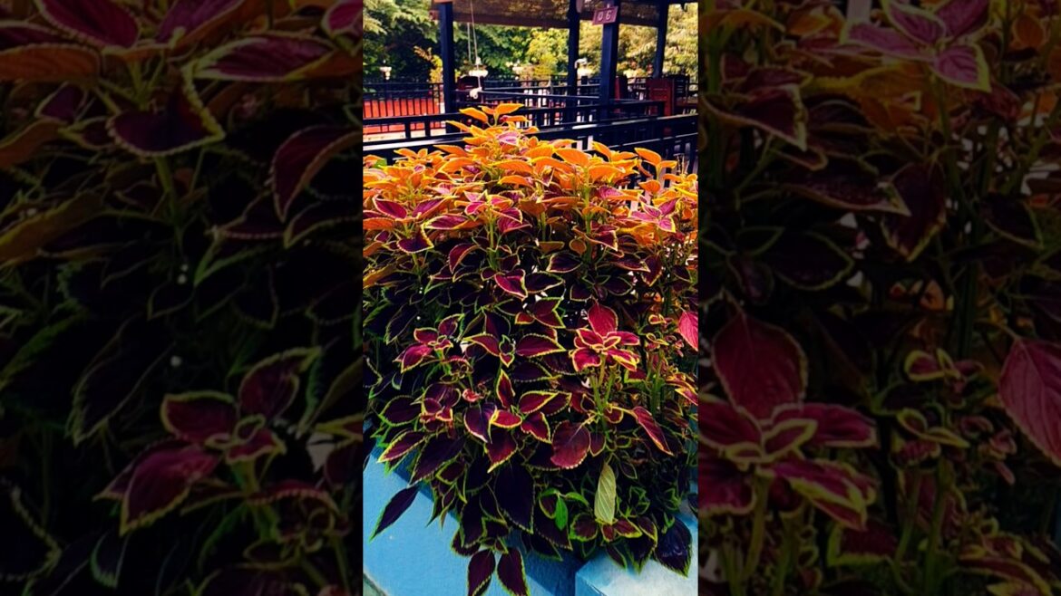 Why July Mornings Hit Different This Year Why July Mornings Hit Different This Year