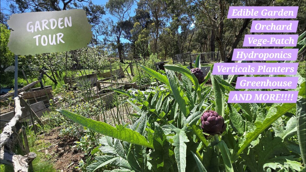 Spring Garden Tour 2025 🌼 | Edible Garden, Orchard, Hydroponics, Vege Patch, Greenhouse & More! Spring Garden Tour 2025 🌼 | Edible Garden, Orchard, Hydroponics, Vege Patch, Greenhouse & More!