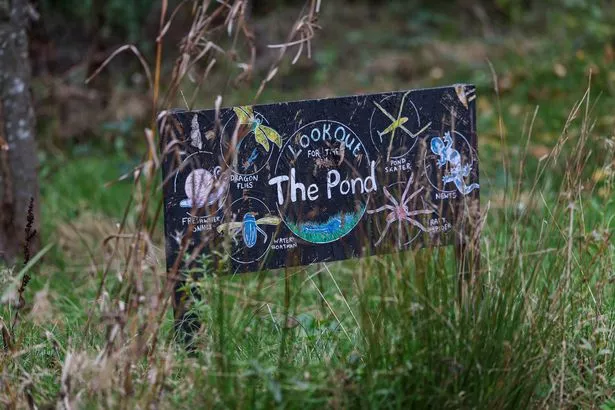 The new pond at Northern Lily.