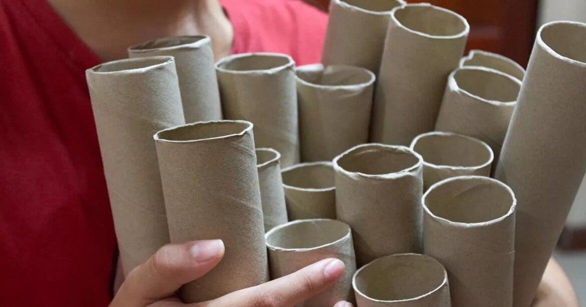 Householders told ‘use cardboard loo rolls trick’ to help gardens grow in October Daily Record