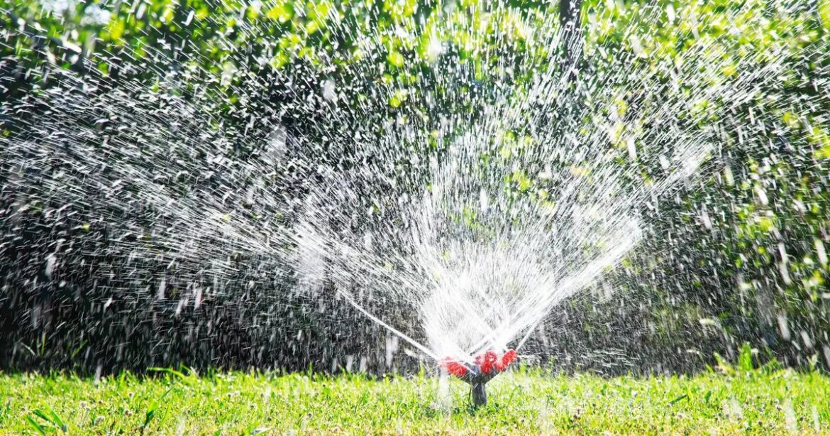 One basic mistake you’re making this autumn that’s secretly killing your lawn Daily Mirror