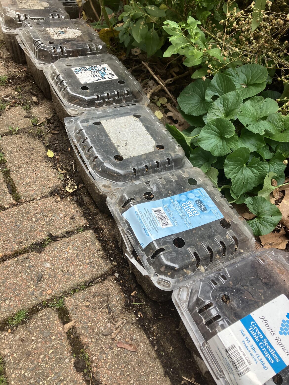 It’s that time of year It's that time of year