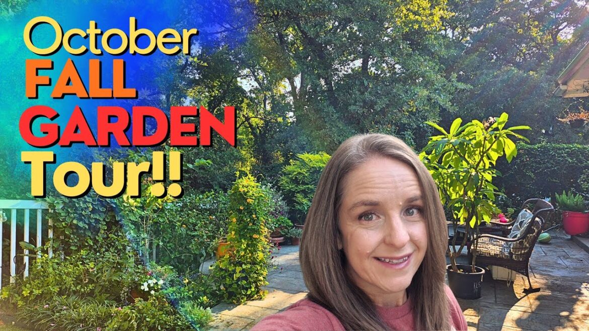 October '25 Fall Garden Tour! Front, Backyard & Container Garden Tour! #northtexasgarden