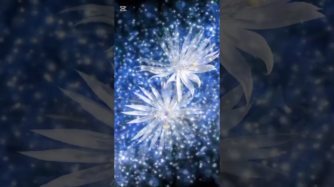 Top Winter Flowering Plants 2025 | Cold Season Garden Ideas | Best Winter Flowers for Home Garden