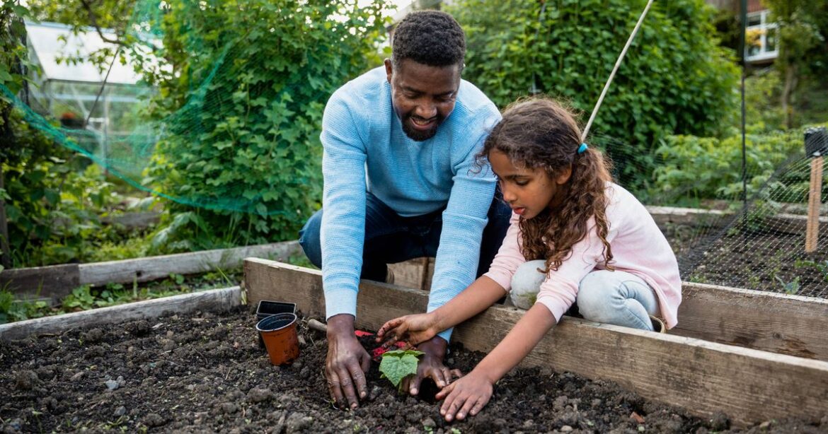 Gardening expert shares six vegetables you can still plant in October for spring harvest Devon Live