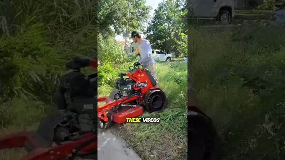 The Ultimate Cleaning & Lawn Care ASMR  #lawnmowingbusiness #helping #landscaping #lawnmaintenance The Ultimate Cleaning & Lawn Care ASMR  #lawnmowingbusiness #helping #landscaping #lawnmaintenance