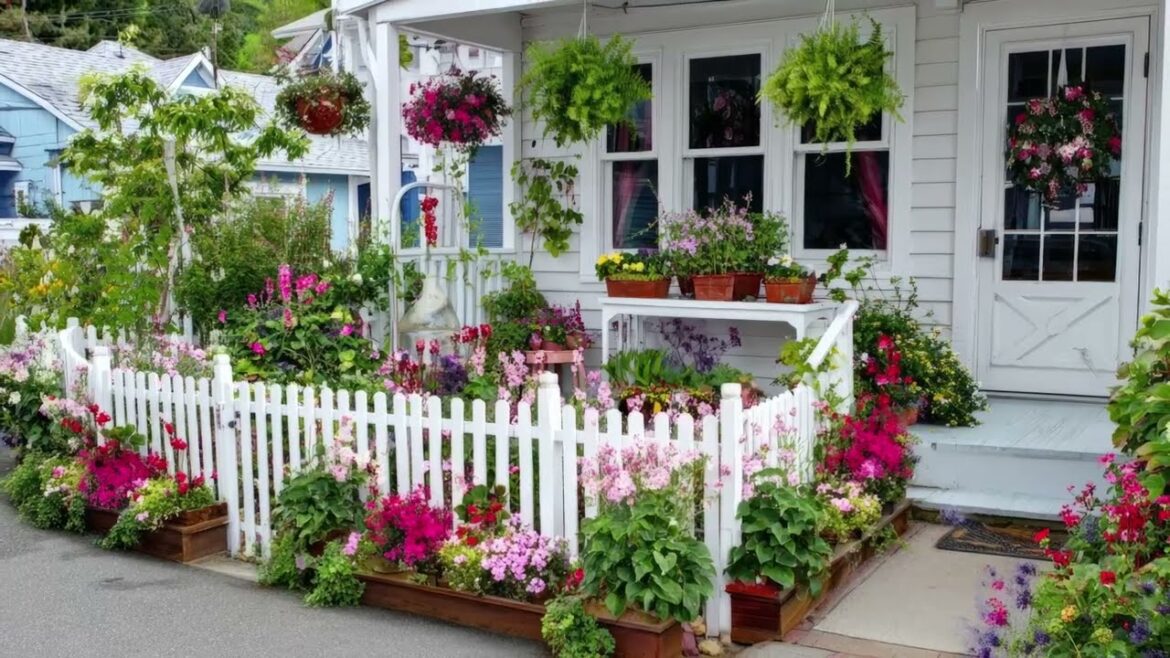 Small Front Garden Ideas 2025: Budget DIY Hacks to Instantly Boost Curb Appeal Magic Small Front Garden Ideas 2025: Budget DIY Hacks to Instantly Boost Curb Appeal Magic