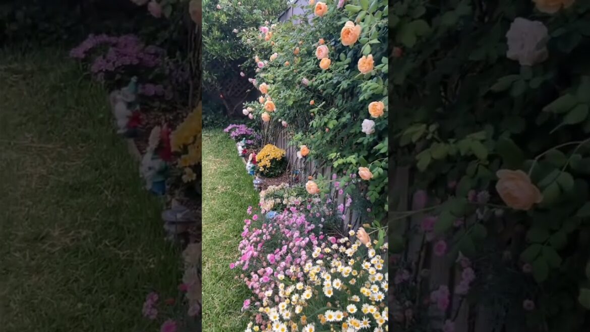 Grow With Passion Live with Purpose 🌼🌱 #gardening #decorideas #asmr #oasis #gardenplants #flower