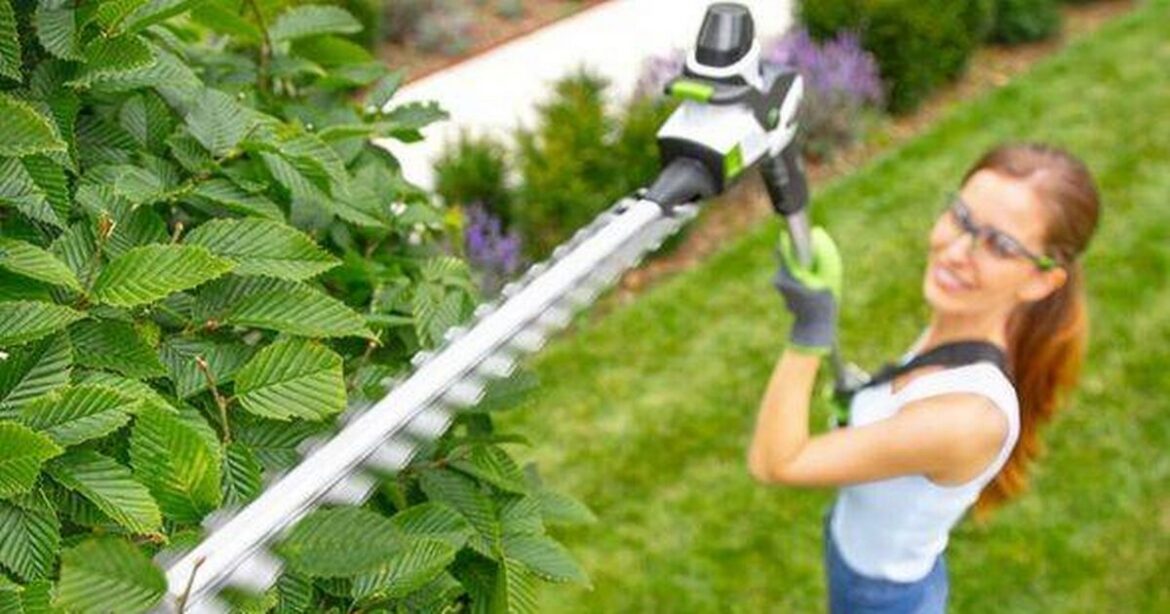 Gardening ‘so much easier’ with cordless hedge trimmer now 48% off until Thursday Bristol Live